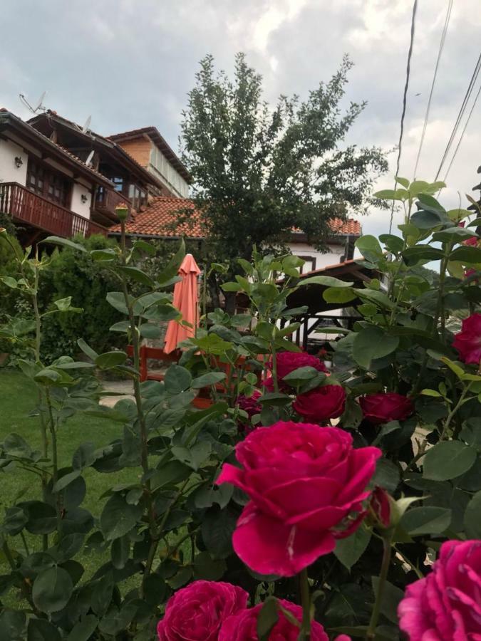 Sharkov Guest House Dolen  Exterior photo